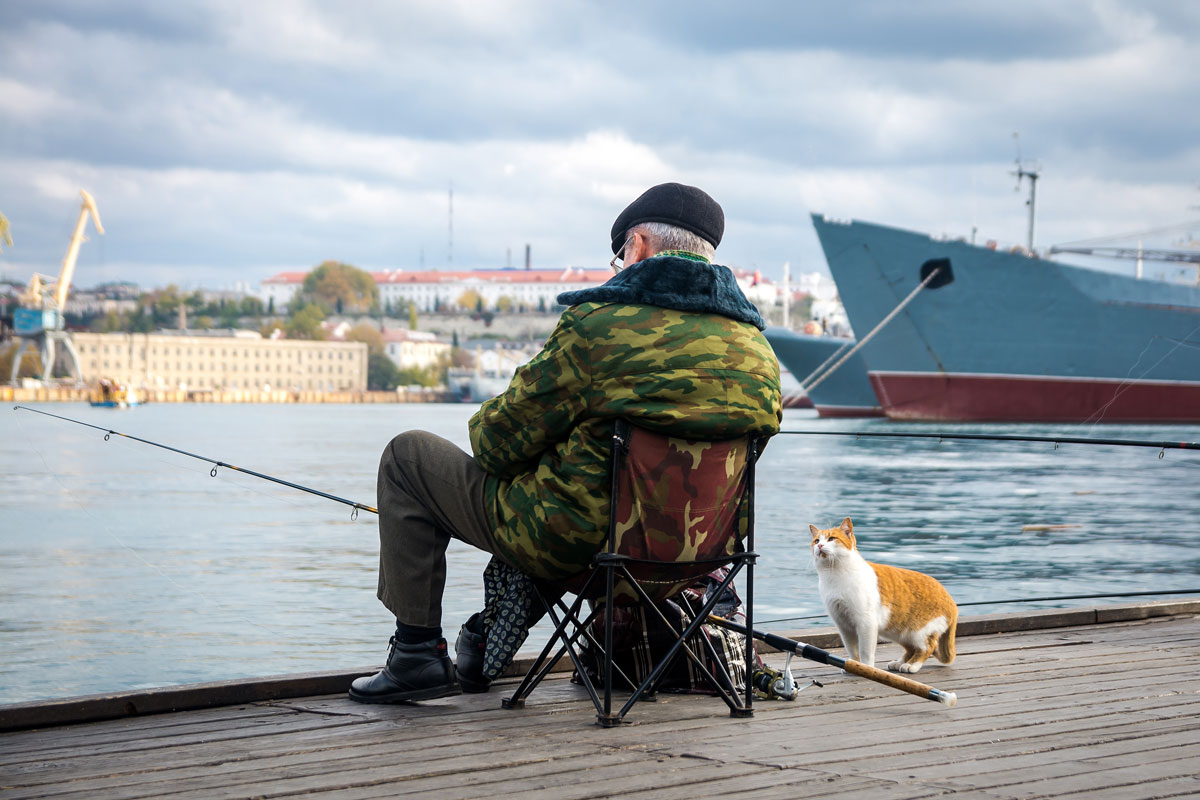 堤防で釣りをする男性のそばに猫