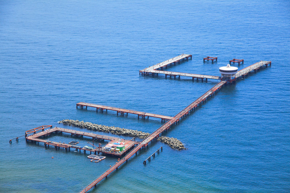 sea-fishing-park